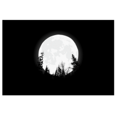 “Full Moon & Trees” – Postcard