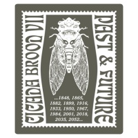 “Cicada Brood VII” – Envelope Seal
