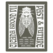 “Cicada Brood VII” – Envelope Seal